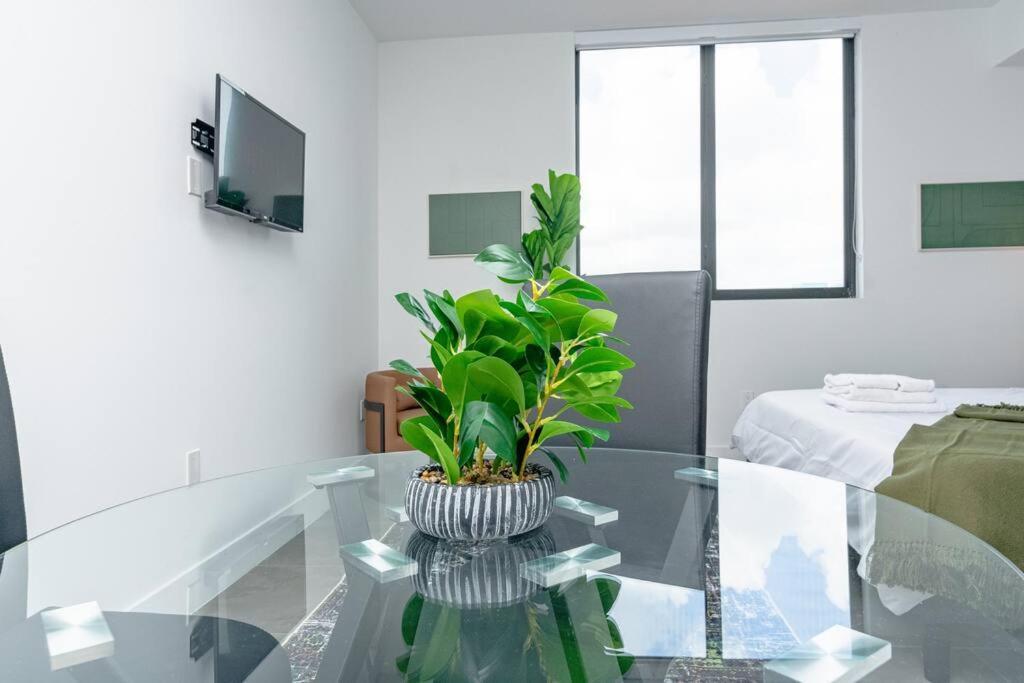 King Bed Brand New Oasis Minutes To Brickell * Miami